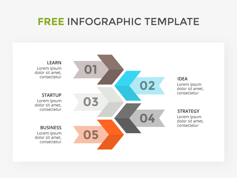 Modèle infographique Startup Steps