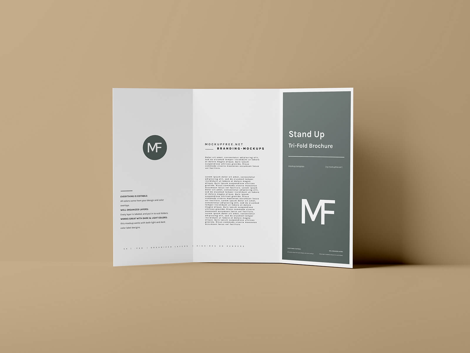 5 Stand-Up Tri-Fold Brochure Mockup Files