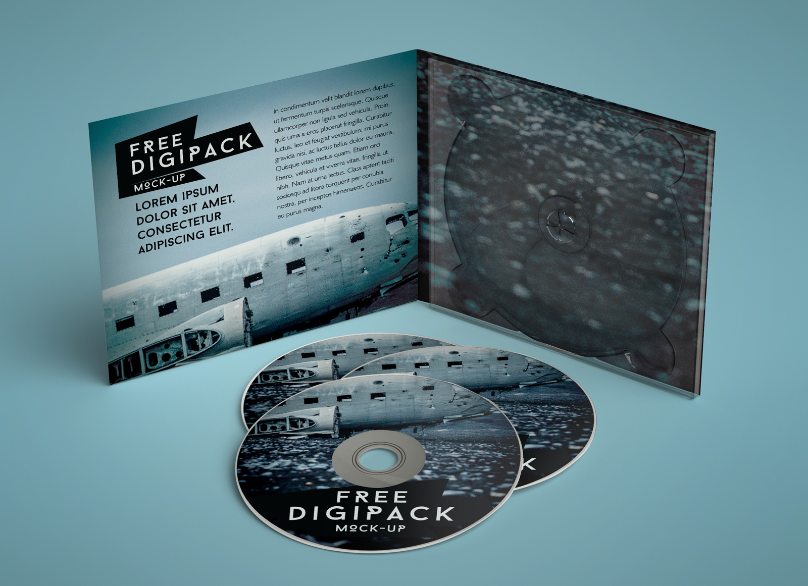 CD / DVD -Disc -Fallverpackung Mockup
