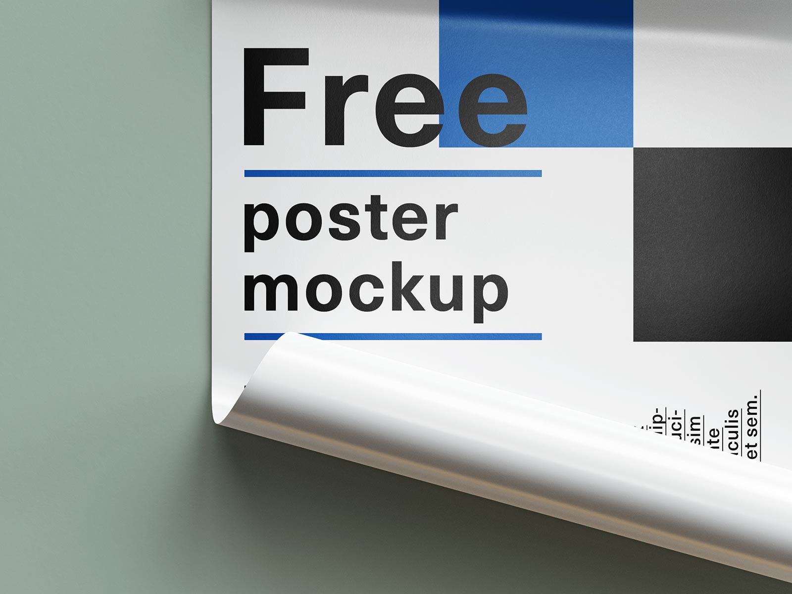 11 Free Curled Up Poster & Paper Tube PSD Mockups
