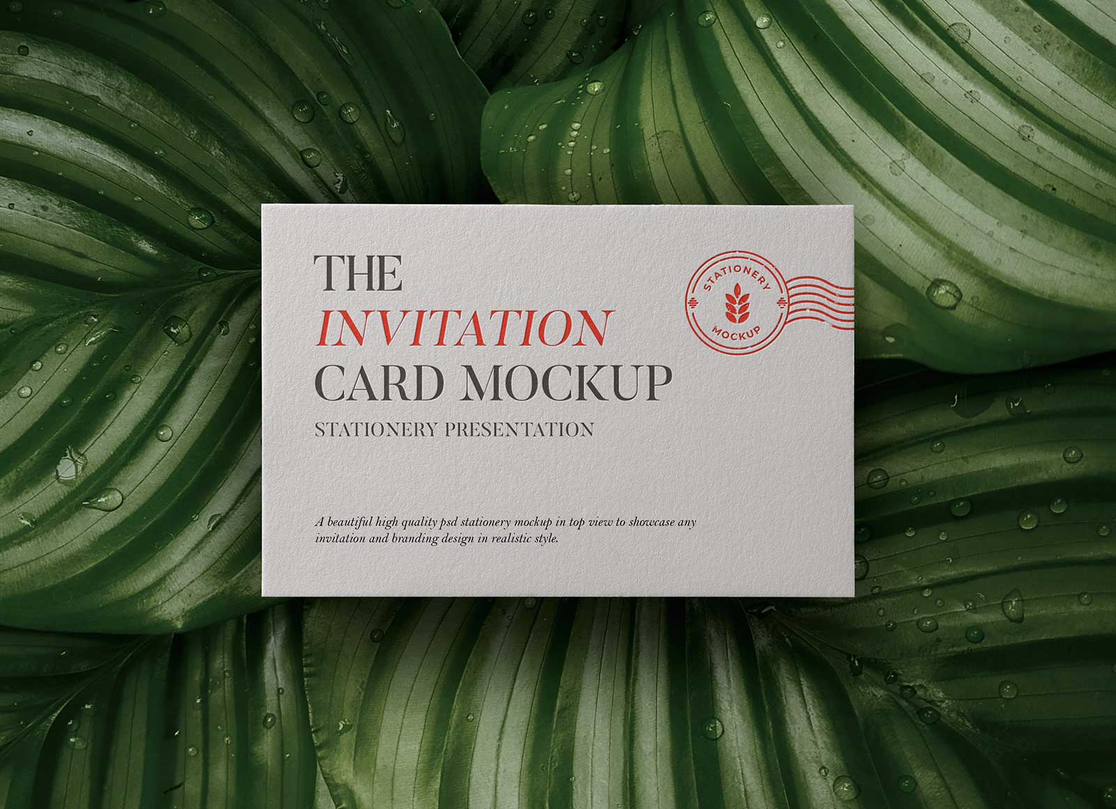 Maqueta de tarjetas de invitación