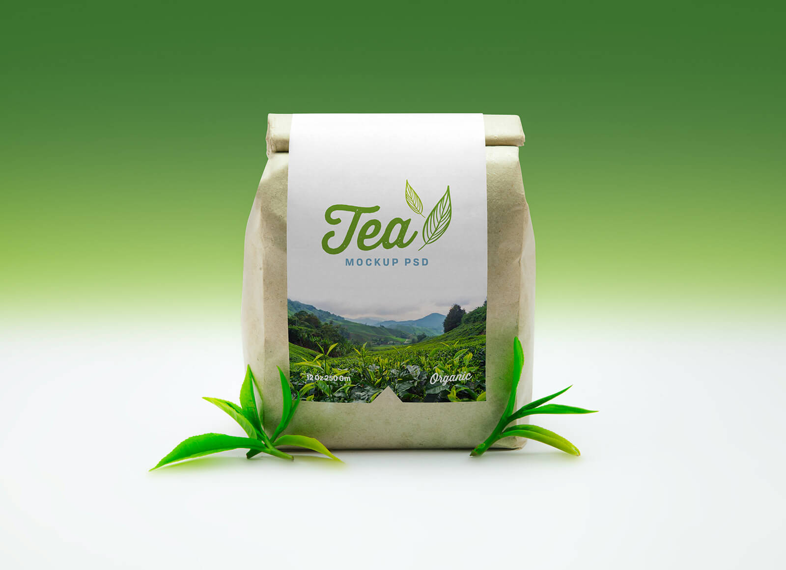 Maqueta de bolsa de pie orgánica de té