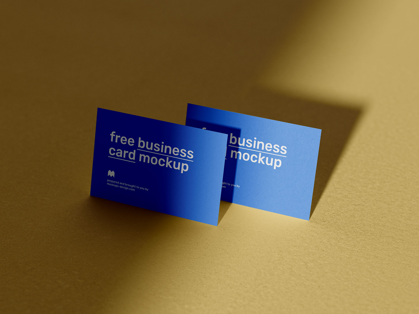 Sunlight Shadow Business Business Card Mockup Set