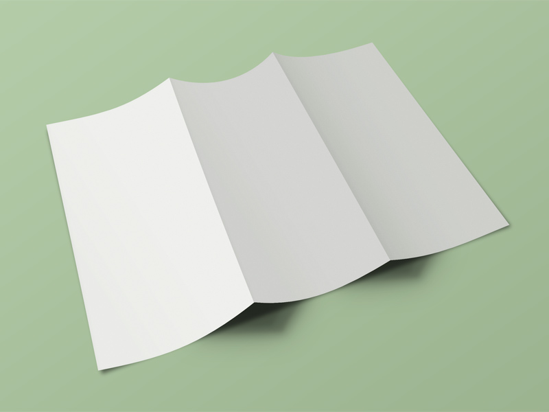 Front & Back Tri Fold Broschüre Mockup