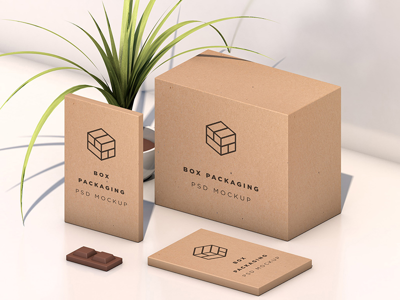 Isometric Box Packaging Mockup