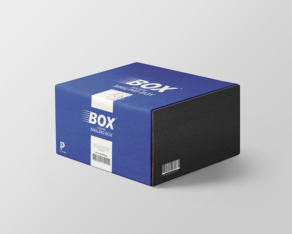 Kostenloses Square Mailing Box-Modell