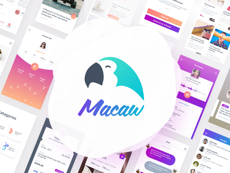 Комплект пользовательского интерфейса Macaw
