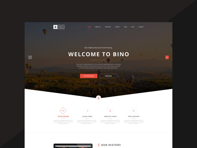 Modèle de page de destination Bino