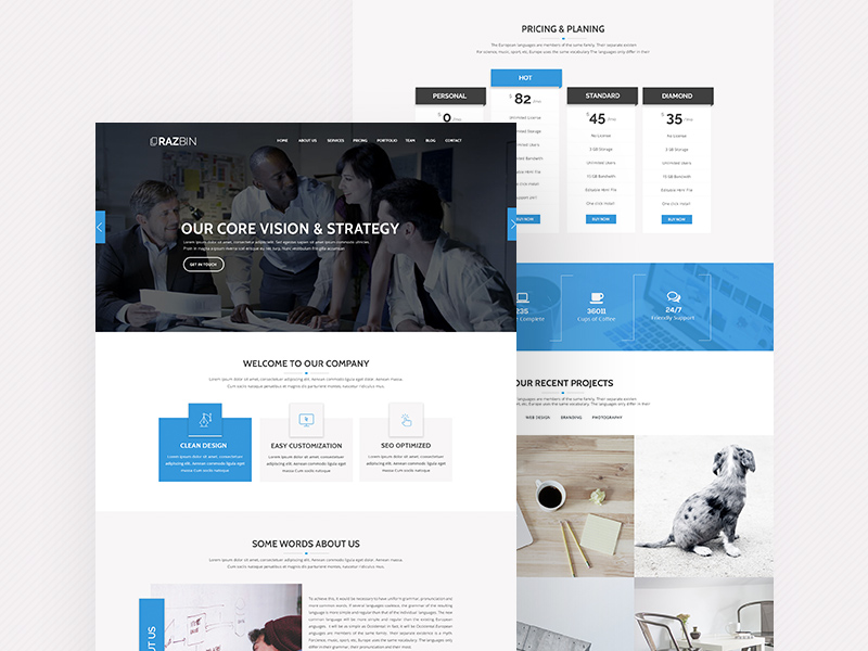 Razbin – Digital Agency Web Template