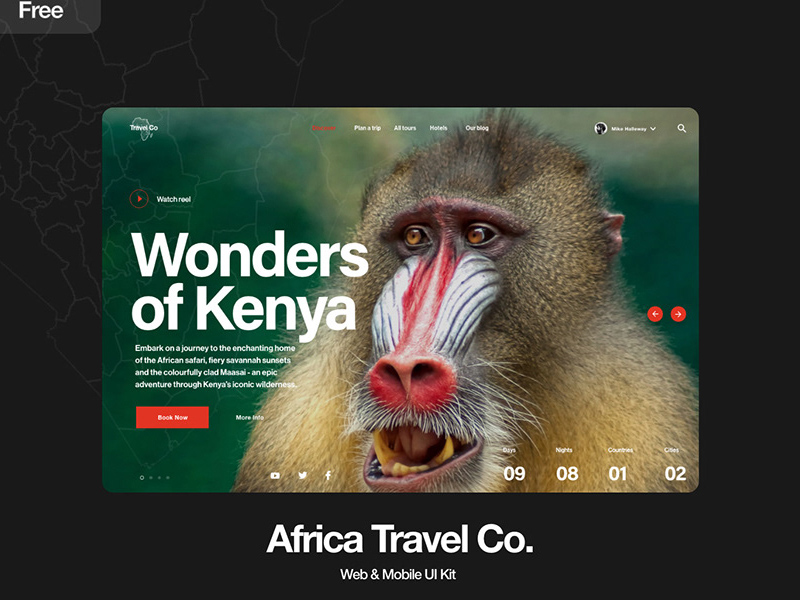 Комплект пользовательского интерфейса Xd (ru) Африка Путешествия Ко