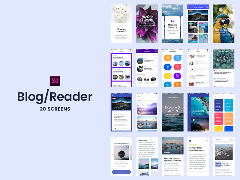Adobe XD 20 Blog/Reader-Bildschirme