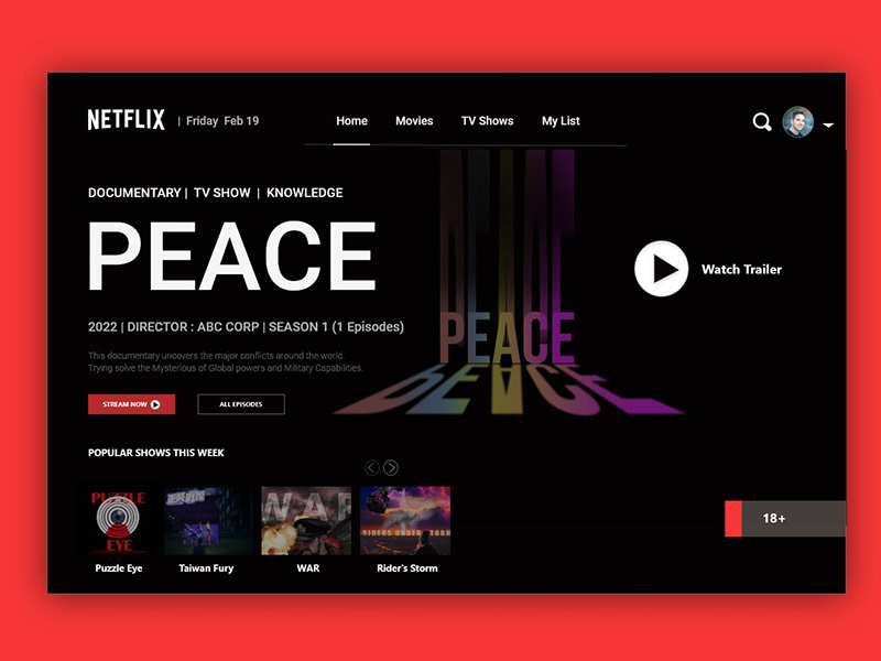 Netflix-Anlageseite mit Adobe XD neu gestaltet