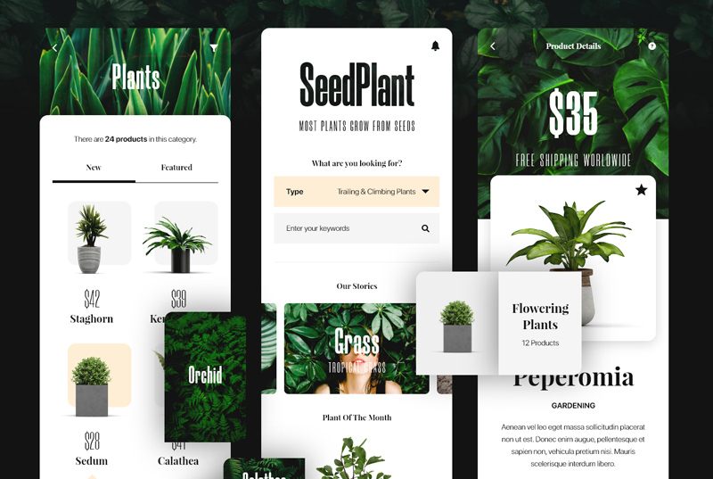Interface utilisateur de l’application e-commerce | SeedPlant