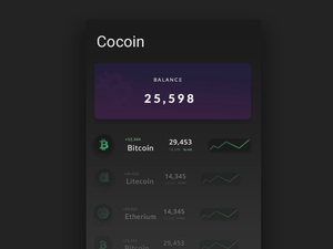 COcoin Wallet App UI Diseño