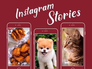 Instagram Stories Interface Templates