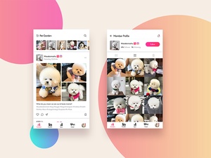 Roxi – Social App For Pet Lovers