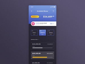 Available Money In Wallet iOS App