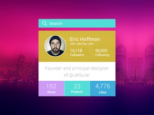 Designer Profile Widget
