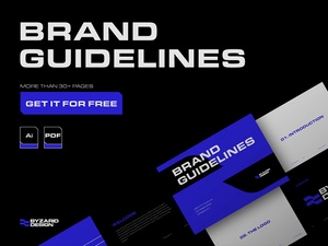 Brand Guidelines | Byzarid
