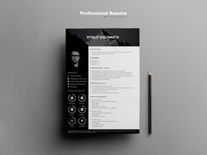 Plantilla de CV profesional para diseñadores