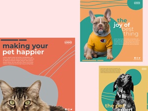 Plantilla de publicación de Instagram para amantes de las mascotas