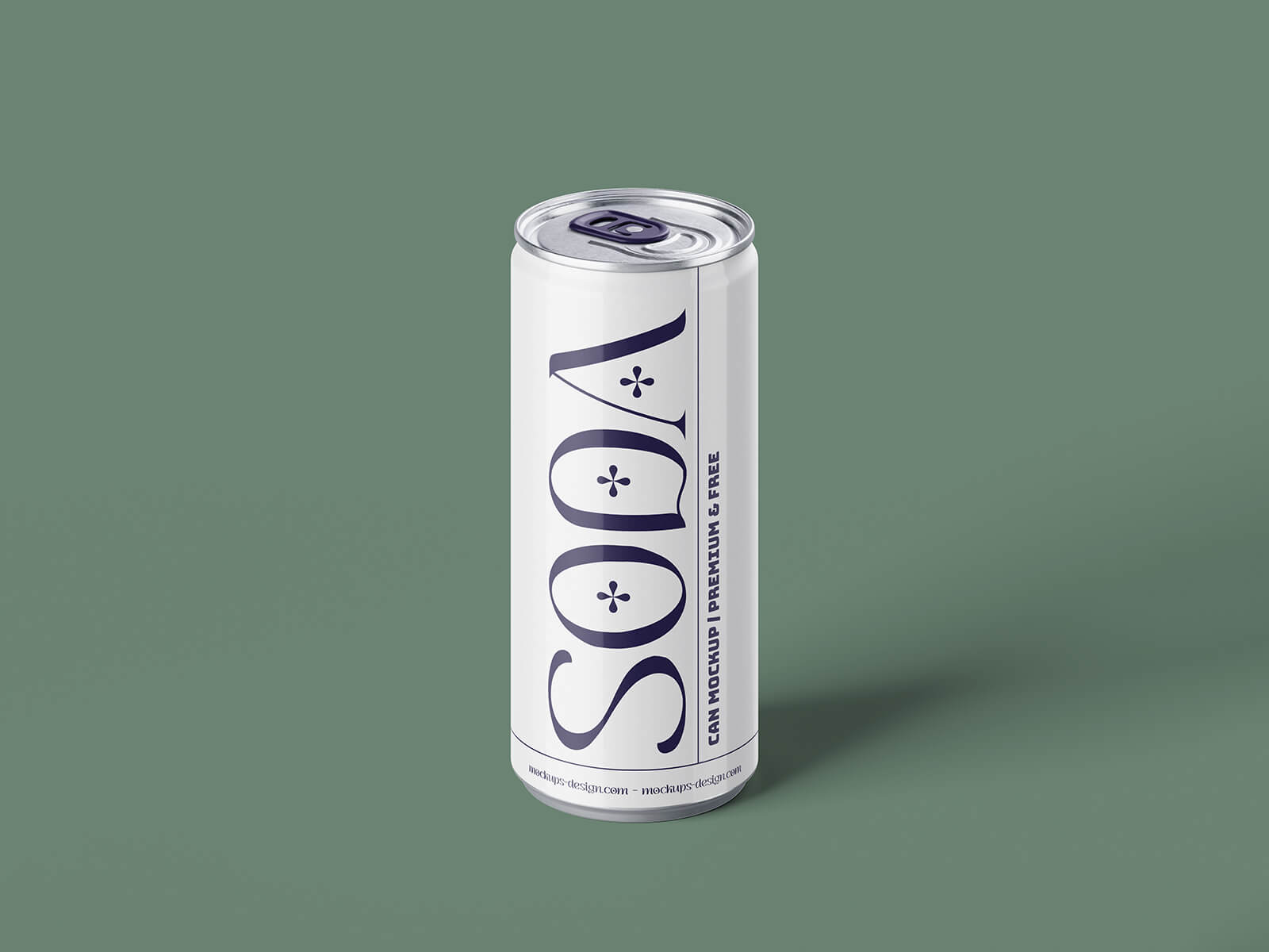 250 ml de bebida de lata de soda puede maquillar