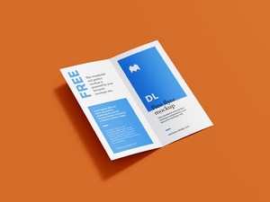 DL Bi-Fold Brochure Mockup Set