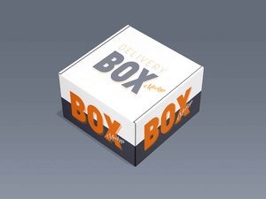 Delivery Square Box Mockup Set