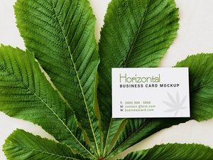 Horizontal & Vertical Nature Business Card Mockup Set