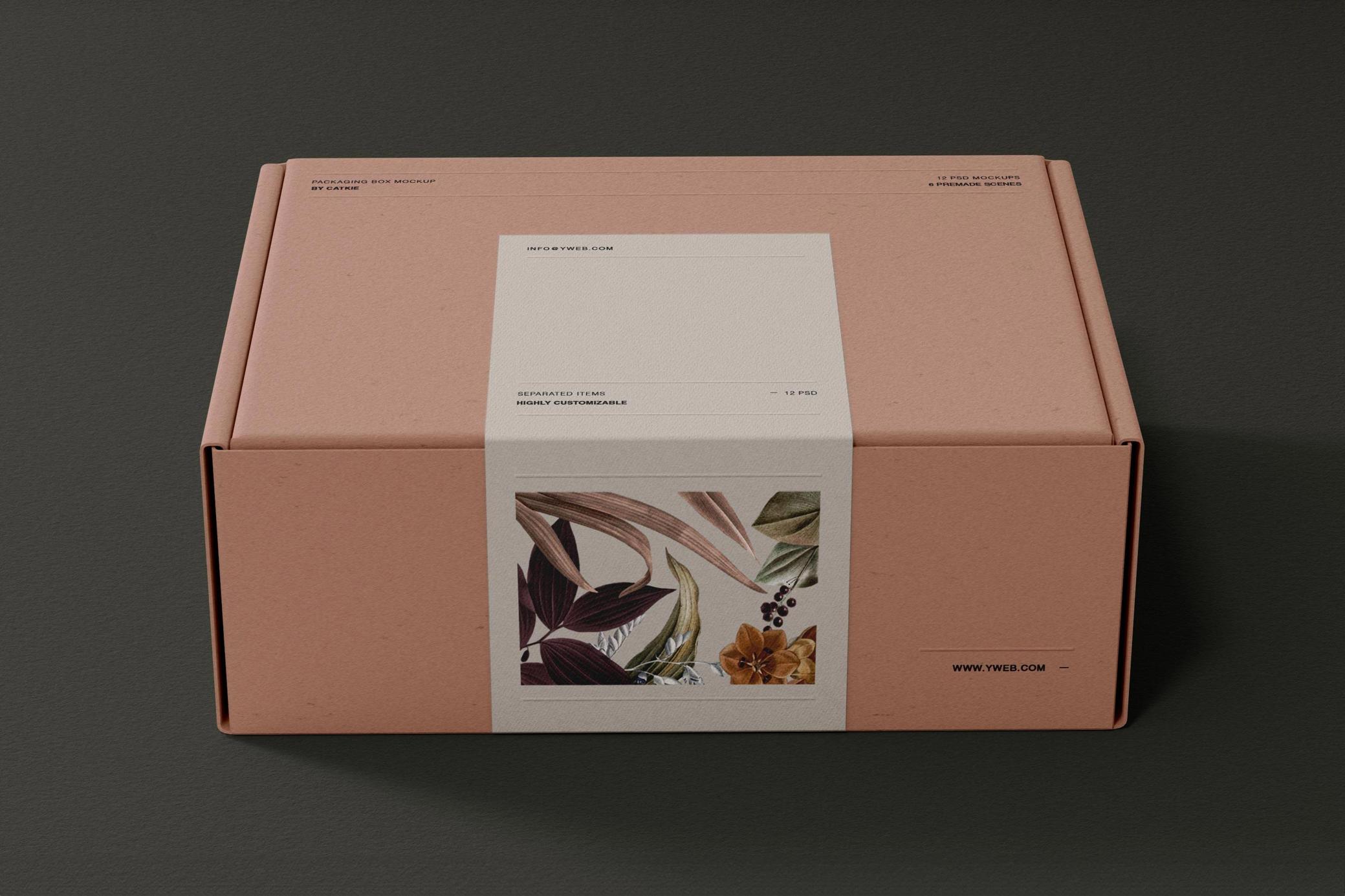 Mockup de la boîte de diffusion expédiée étiquetée