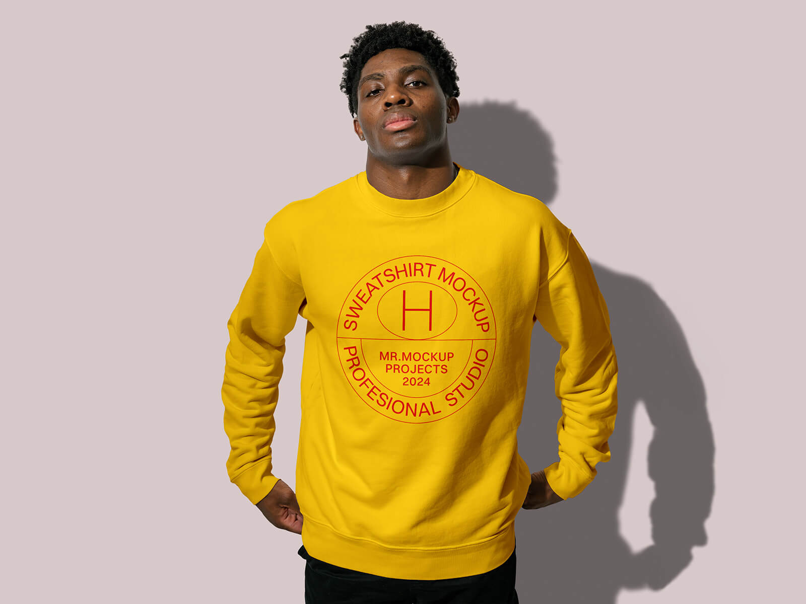Sweat-shirt de modèle masculin MACKUP