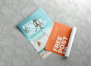 Rolled & Flat Poster Mockup