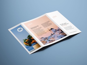 A4 Single-Gate Fold Brochure Mockup Set