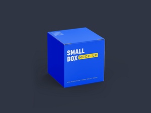 Maqueta de caja de envasado de productos pequeños