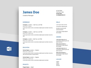 Professional Word Resume Template Free (docx)