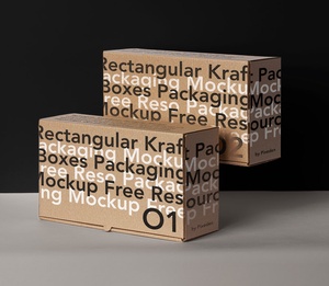 Free Rectangular Packaging Box Mockup PSD