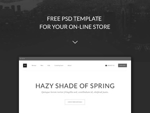 eCommerce Theme For Clothing Store