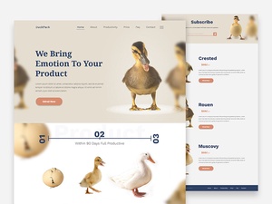 DuckPack Landing Page