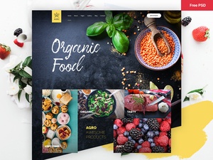 Organic Food & Agriculture Template | Agro
