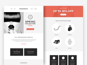 Fashionista Responsive Email Newsletter