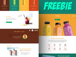 Bio-Fresh Food Website-Vorlage