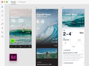 Adobe XD береговой Surf Статистика
